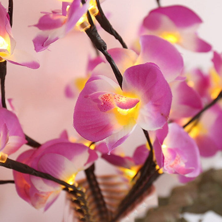 Branche de saule orchidée