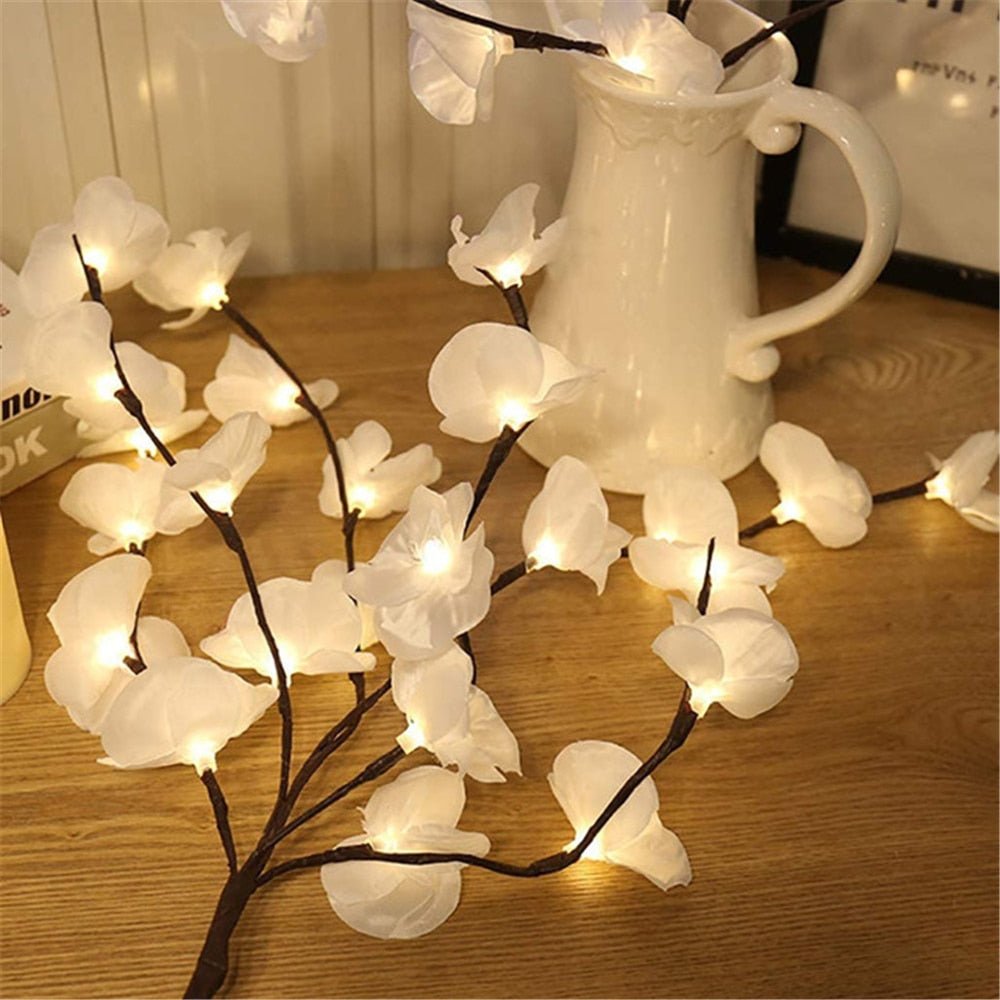 Branche de saule orchidée