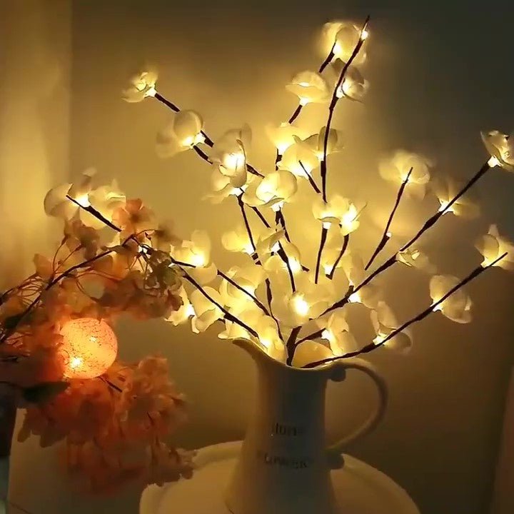Branche de saule orchidée
