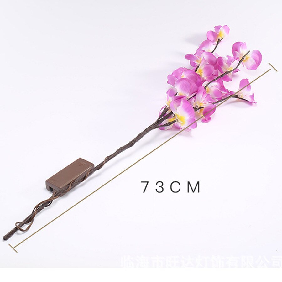 Branche de saule orchidée