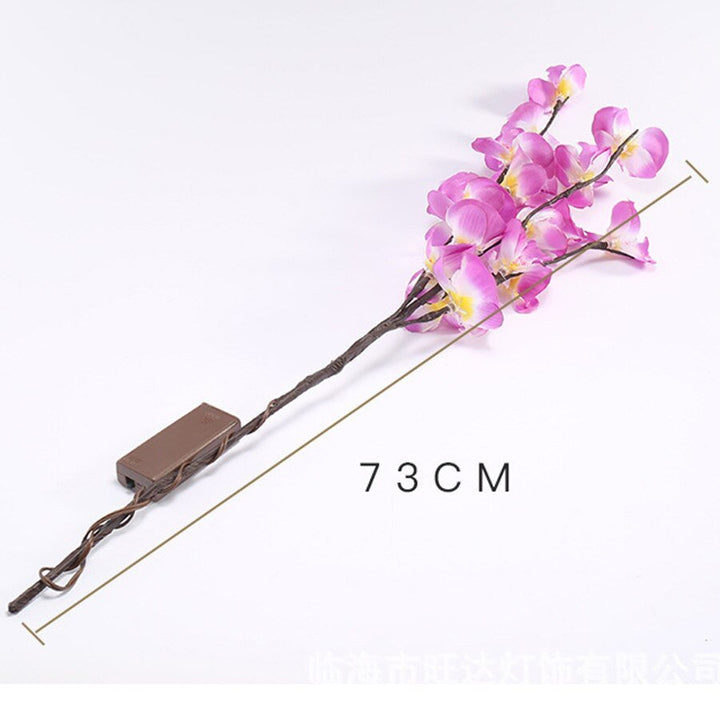 Branche de saule orchidée